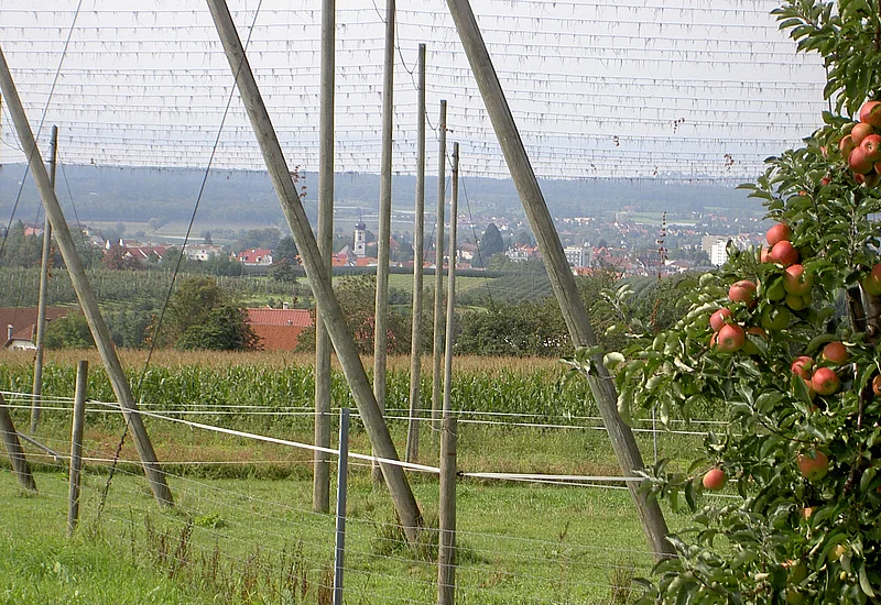Ende der Hopfenernte