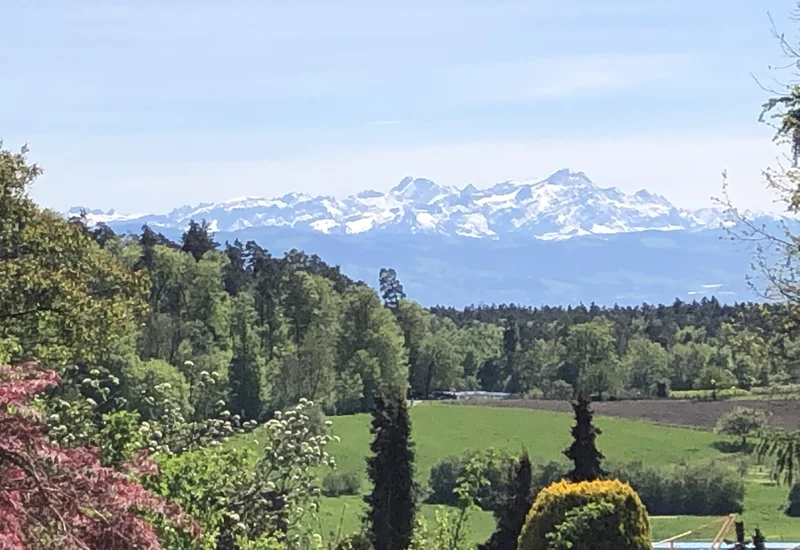 Blick ins Grüne der Orthopädie Tettnang Blick auf eine grüne Landschaft mit Bäumen und Wiesen im Vordergrund, im Hintergrund schneebedeckte Berge unter blauem Himmel.