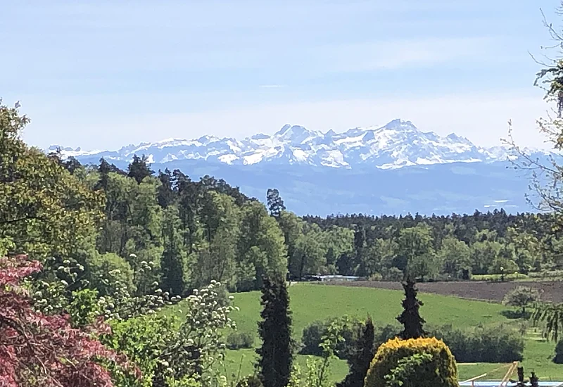 Säntisblick von Tettnang Oberhof